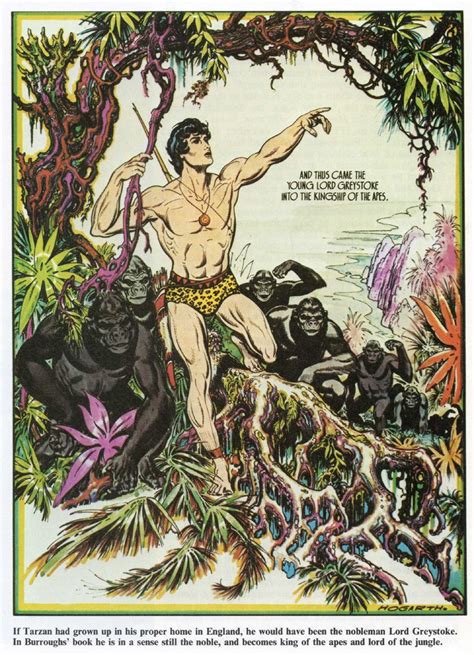 Burne Hogarth Tarzan Tarzan Cartoon Illustration Comic Art