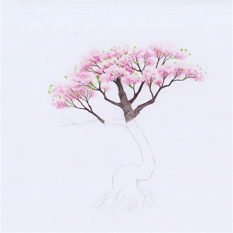Cherry Blossom Tree Drawing How To Draw A Cherry Blos Vrogue Co