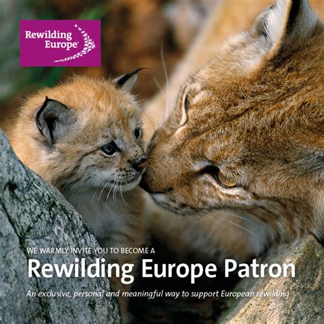 Publications Rewilding Europe