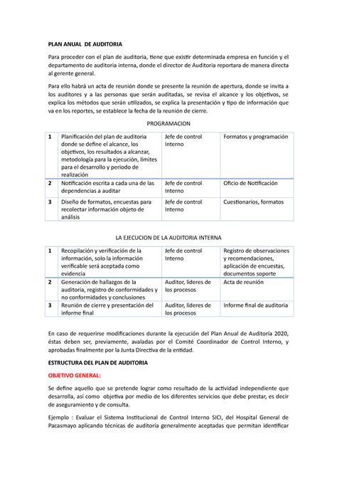 Estructura Del Plan Anual De Auditoria Plan Anual De Auditoria Para