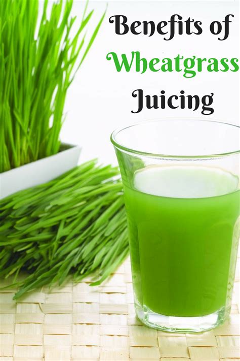 The Best Electric Wheatgrass Juicer The Benefits Of Wheatgrass