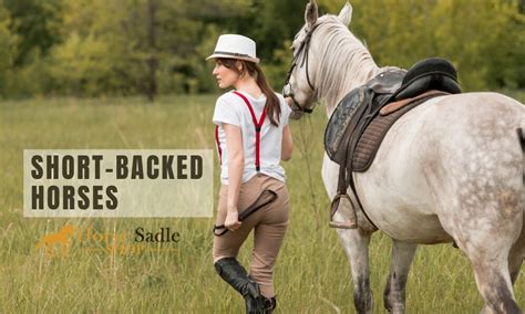 Saddles For Short Backed Horses Horse Saddle Shop