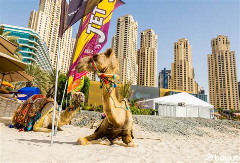 Dubai Strand 7 Fun Things To Do On Dubais Beautiful Beaches