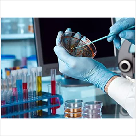 Microbiological Analysis At Best Price In Mumbai Maharashtra