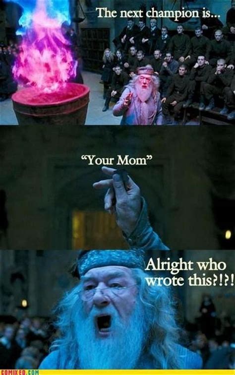 Funny Harry Potter Pictures 42 Pics
