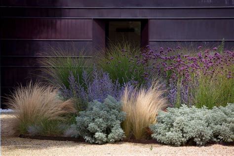 38 Best Drought Tolerant Plants That Grow In Lack Of Water Drought