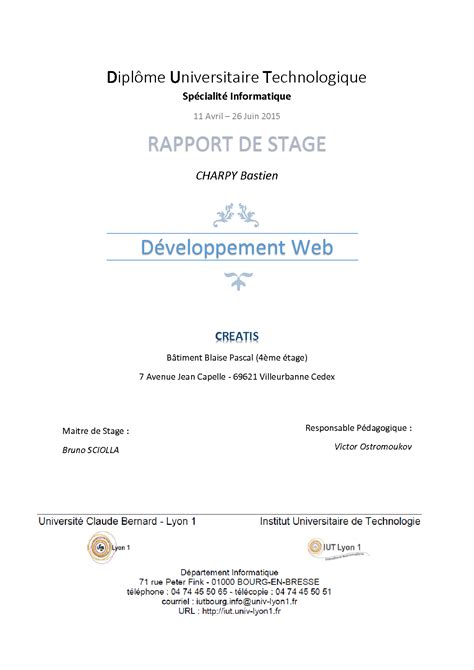 Solution Exemple Rapport De Stage Developpement Web Studypool