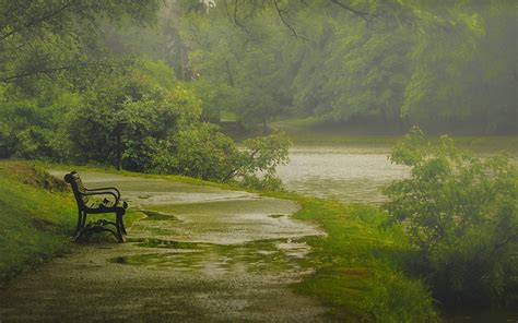 Nature Rain Beautiful Hd Desktop Wallpapers 4k Hd