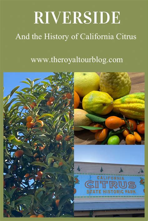 Riverside And The History Of California Citrus The Royal Tour