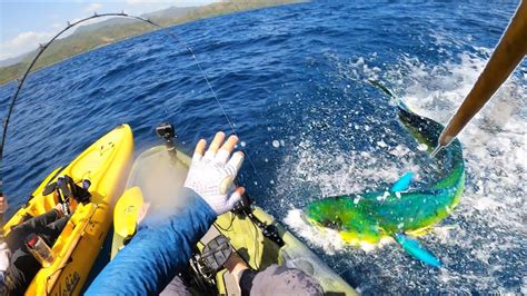 Offshore Kayak Fishing For Giant Mahi Catch Clean Cook Panama
