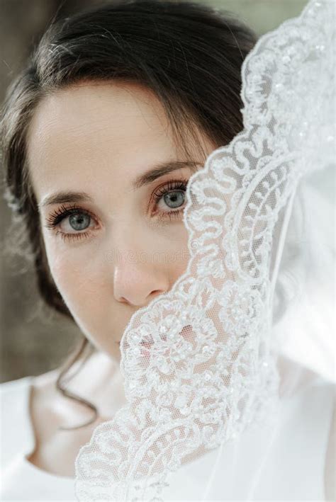 Closeup Shot Of Elegant Brunette Bride Posing Under Veil Closeup Stock
