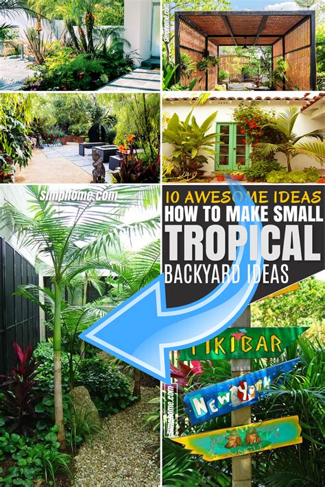 Awesome Backyard Ideas Tropical Home Design Rf