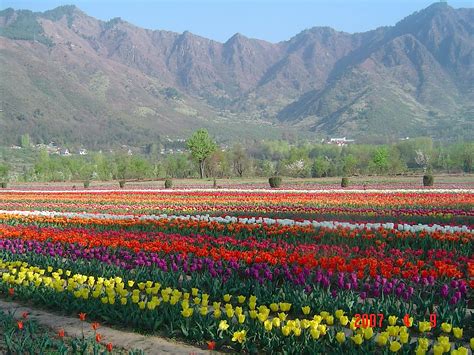 Tesis bünyesinde restoran ve ücretsiz özel otopark mevcuttur. VINO-WONDERS: Kashmir Valley