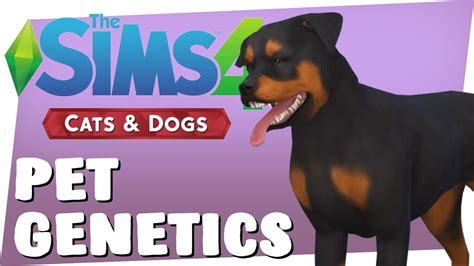 Sims 4 Cats And Dogs Mating Lasopabooks