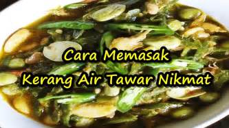 Kerang kijing air tawar fresh kolam penangkaran. Mengolah Kijing Besar Air Tawar - Resep Kijing Masak Lemak ...