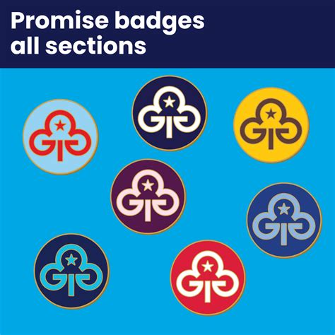 Promise Badges All Sections