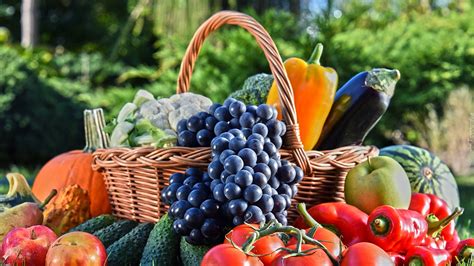 Kosz pełen owoców i warzyw