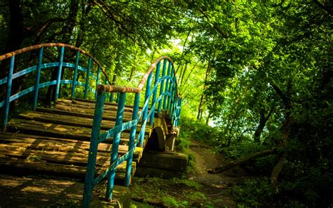 Fondos De Pantalla Luz De Sol Bosque Jardín Naturaleza Parque