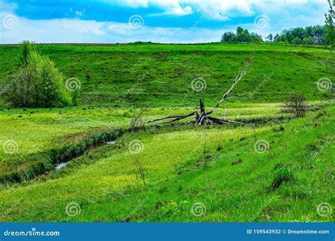 Ukraine Is Beautiful Fields Forests Harvest Beautiful Nature And