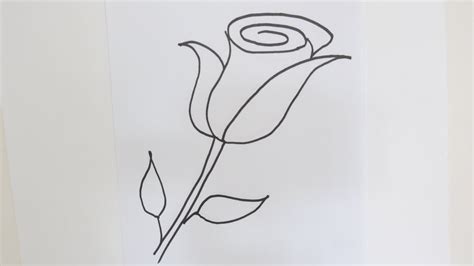 This tutorial was designed for budding artists of all ages. How to draw a rose flower - Easy step-by-step drawing ...