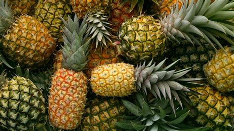 Does Pineapple Really Make Your Cum Taste Better An Investigation