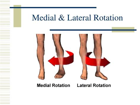 Medial And Lateral Rotation