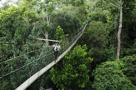 Being the only resort inside the national park boundary, it is an ideal place from which to explore the surrounding area. 10 Tempat Wisata di Malaysia yang Wajib Dikunjungi