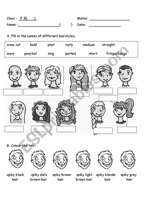 Hairstyles Esl Worksheet By Qoono4010 Esl Worksheets Vocabulary