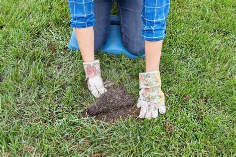 We used a demolition derby to simulate the wear and tear a lawn can go though over a few years. 5 Key Steps to Laying Sod | Better Homes & Gardens