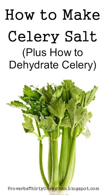 How To Make Celery Salt Plus How To Dehydrate Celery Proverbs 31