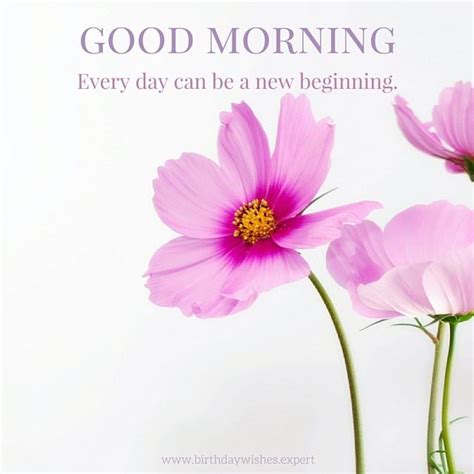 I wish a good morning to someone by sending good morning texts, messages, quotes, images, or good morning images with quotes. 60 Beautiful Flower Images with Inspiring Good Morning Quotes