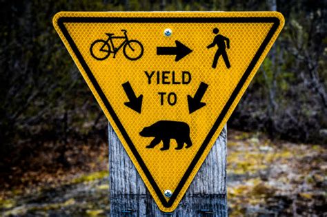 The 13 Weirdest And Funniest Road Signs Its Hard To Believe Actually Exist