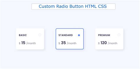 How To Create Custom Radio Button Using Html Css
