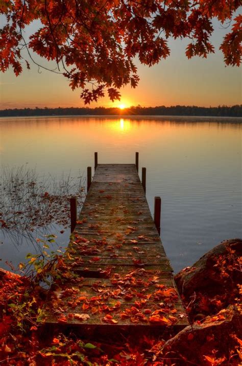 Autumn Leaves Fall Colour Sunset By The Dock T Out A