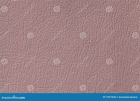 Light Brown Leather Texture Background With Pattern Closeup Stock