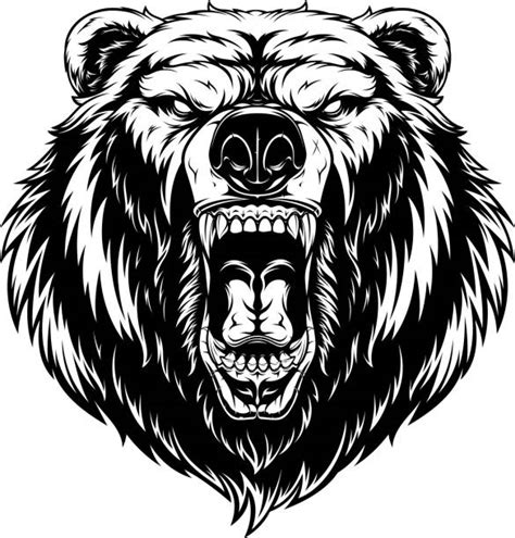 Grizzly Bear Face Illustrations Royalty Free Vector Graphics And Clip