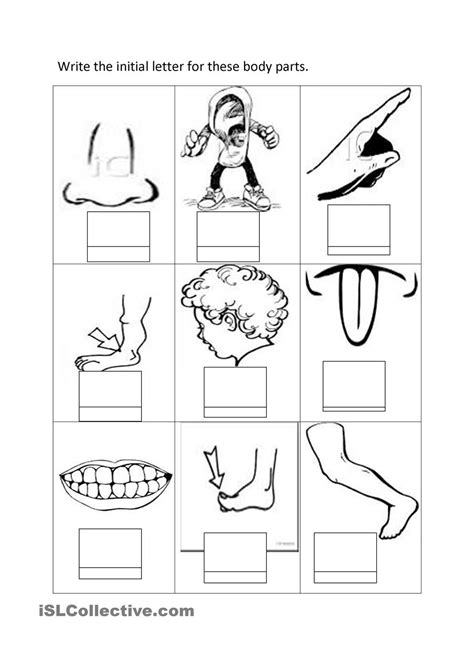 Parts of the body word search (easy). Body Parts Coloring Pages - Coloring Home