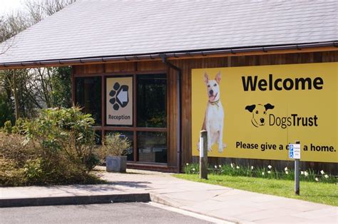 Take A Trip To Your Local Dogs Trust We Have 20 Rehoming Centres
