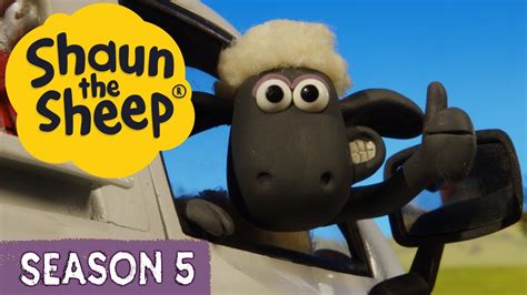 Shaun The Sheep Season 5 🐑 Full Episodes 1 5 🦔 Hedghogs Play Battles