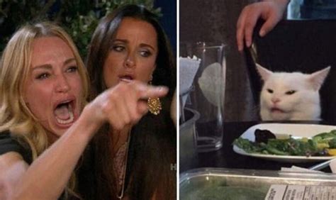 Hilarious Woman Yelling At Smudge The Cat Meme Finds Second Life On