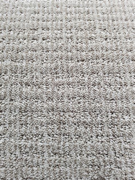 Chambord Ii Patterned Nylon Carpet Mink Factory Flooring Carpet One