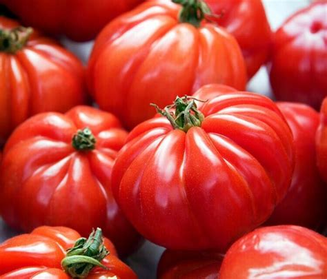 🌼 100 Genuine Marmande Beefsteak Tomato Seeds 1 Quality Fast Free