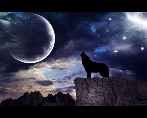 Wolf Howling At Night Wallpaper