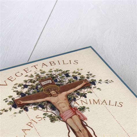 A Rosicrucian Crucifixion Posters And Prints By J Augustus Knapp