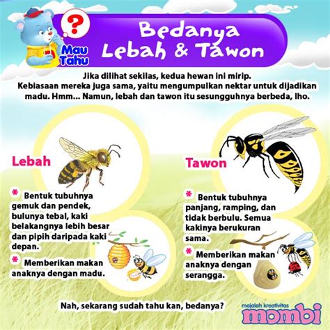 Beda Lebah Dan Tawon Brain