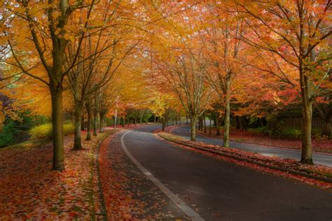 Best Beaverton Oregon Stock Photos Pictures And Royalty Free Images Istock