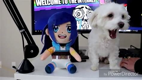 Itsfunneh And The Krews Dogs And Their Names🐶 Youtube