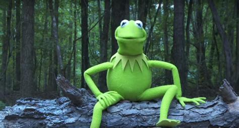 The Voice Of Kermit Was Fired Says Hes ‘devastated To Have Failed