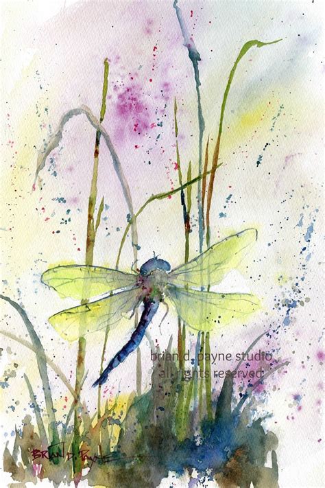 Jewel Toned Dragonfly Dragonfly Artwork Watercolor Dragonfly