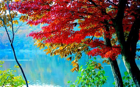 Autumn Lake Wallpapers Hd Desktop And Mobile Backgrounds